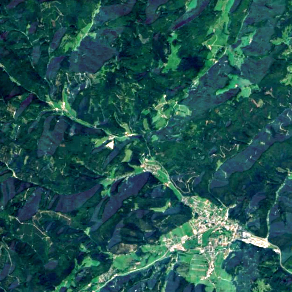 Myra Falls seen from above (Sentinel-2)