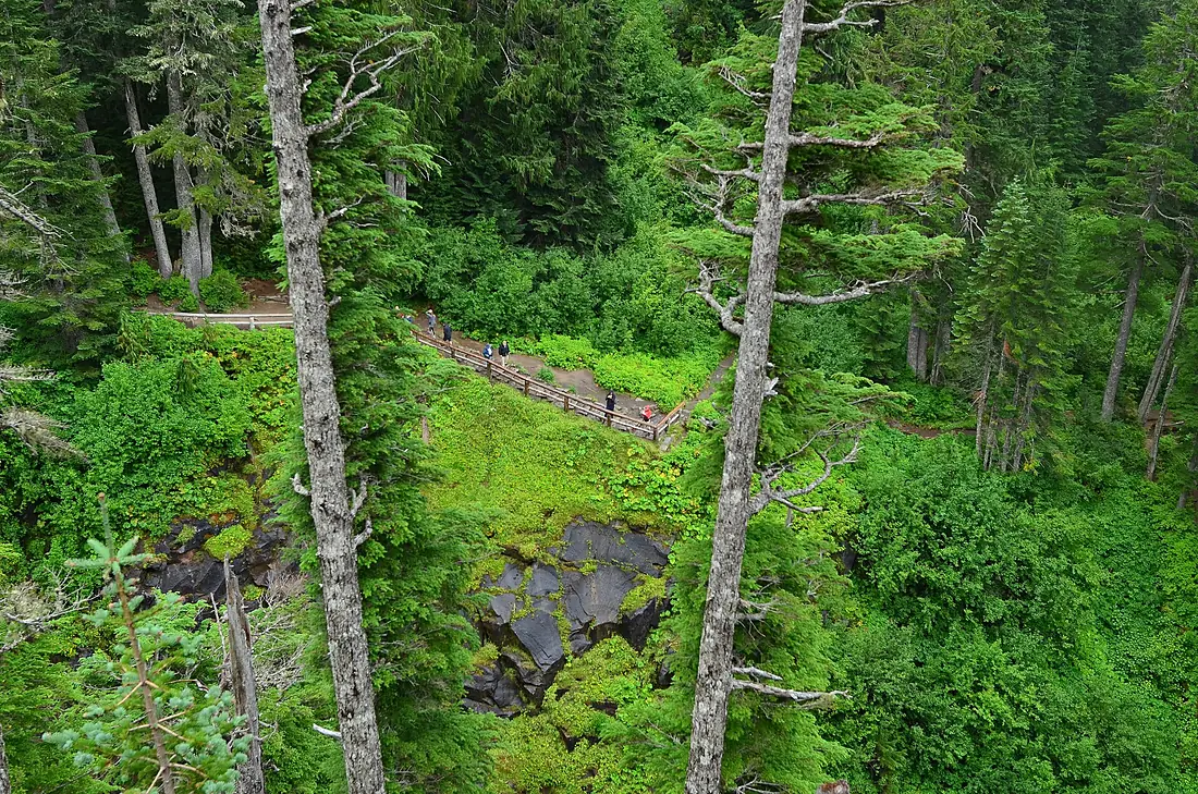 Looking from the upper to the lower observation point for Narada Falls, Mount Rainier National Park 01