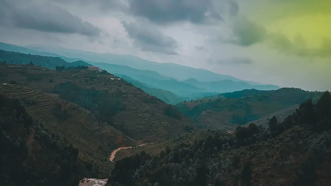 Les Chutes de Ndaba Forest