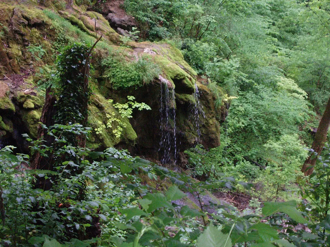 NeidlingenWasserfall
