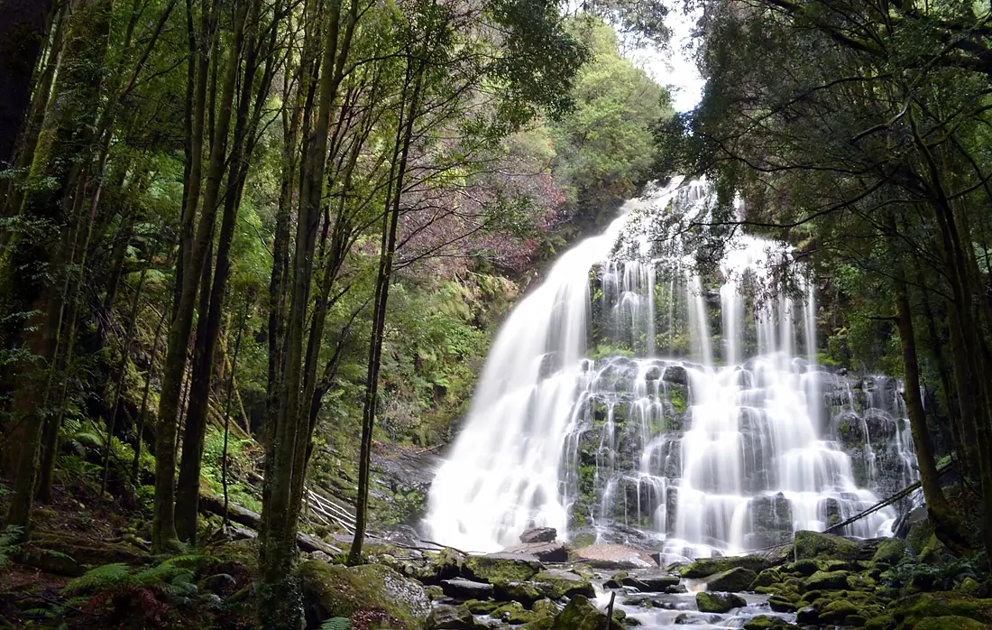 Nelson Falls Tasmania