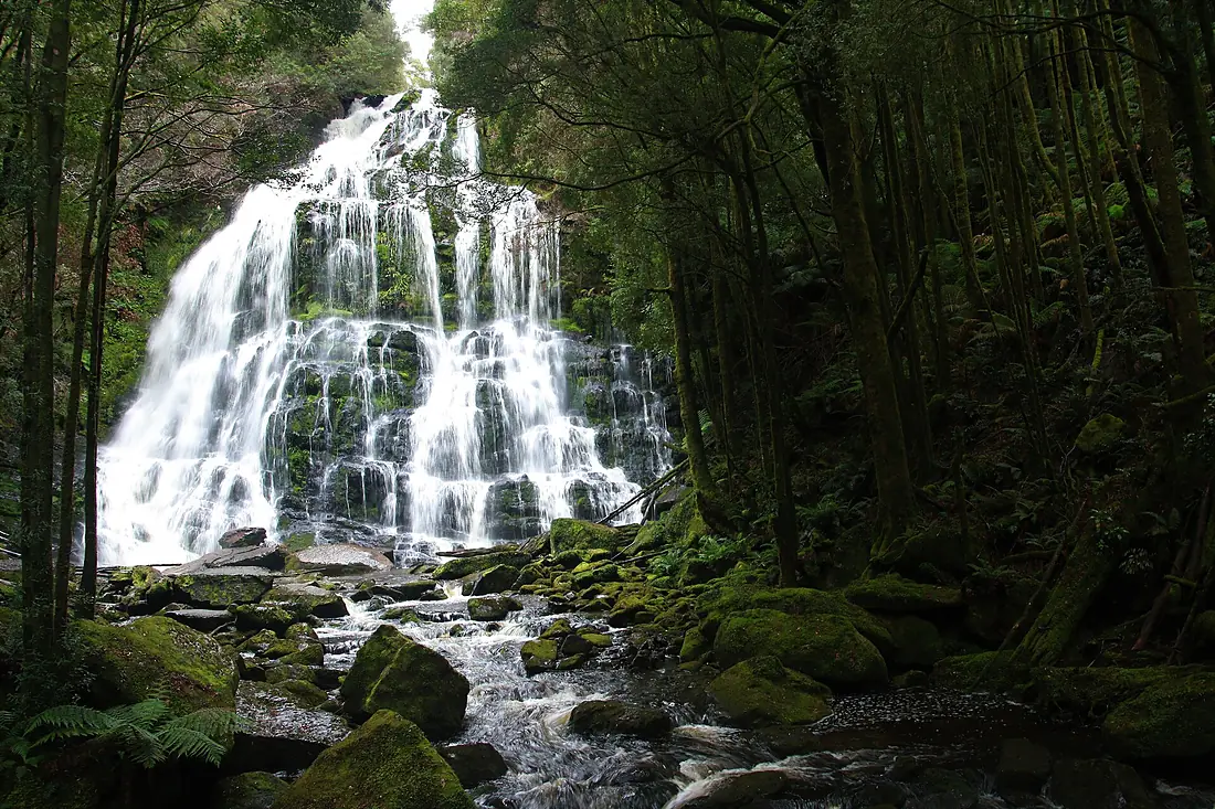 Nelson Falls Tassie