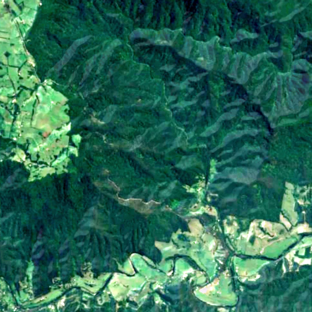 Newell Falls seen from above (Sentinel-2)