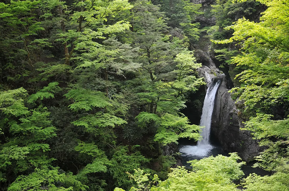 Ogama Falls 02