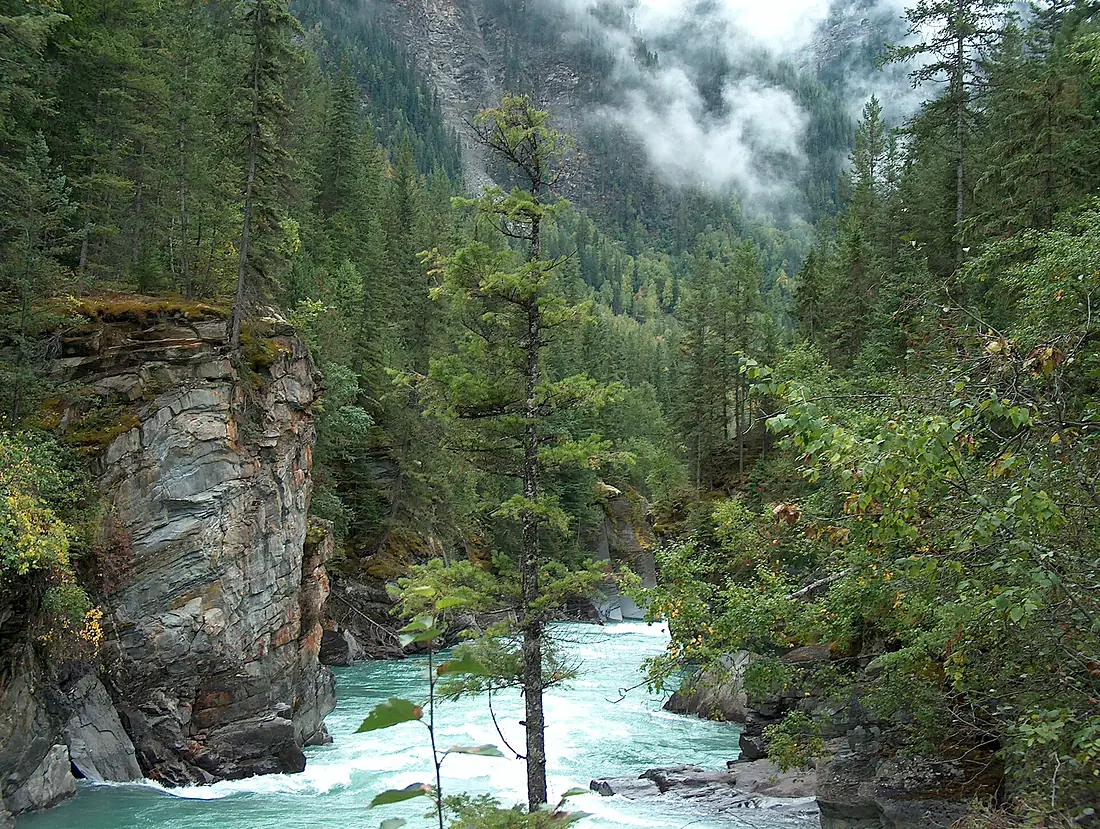 Mount Robson Park