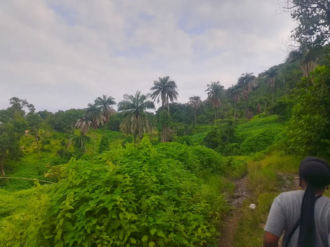 A view closer to the owu waterfall