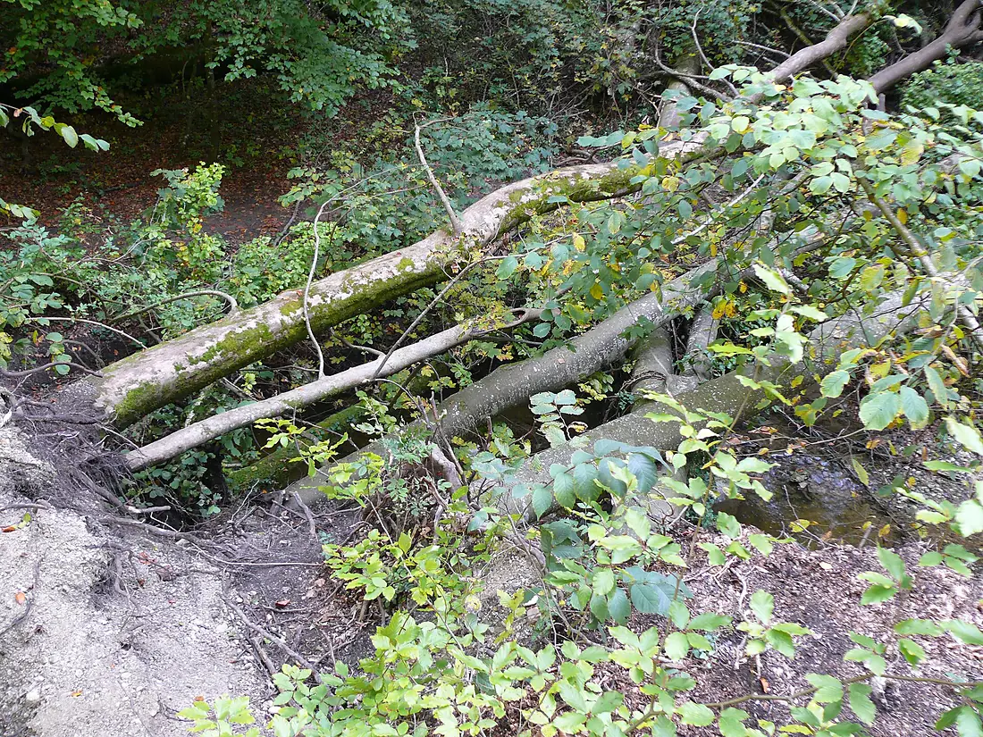 Pähler Schlucht - Erdrutsch 1 (HS)