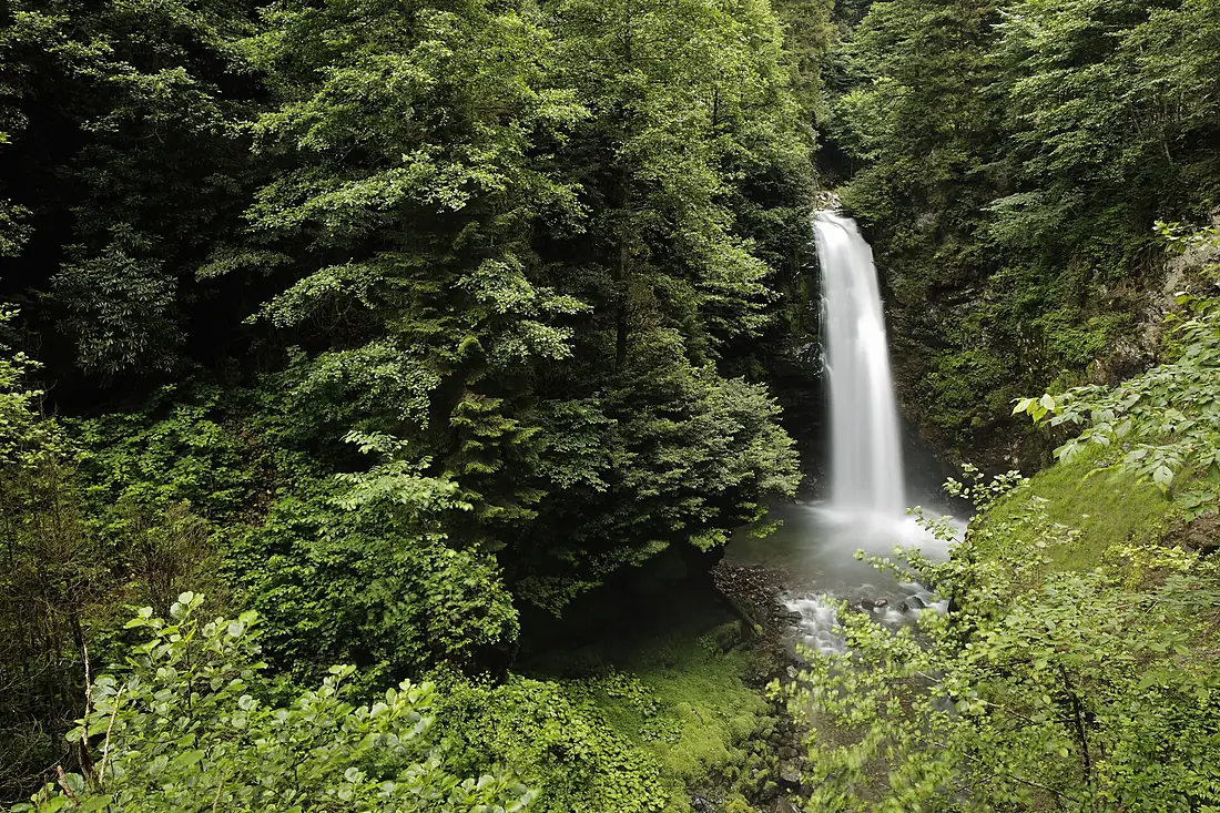 Çamlıhemşin Palovit Waterfall