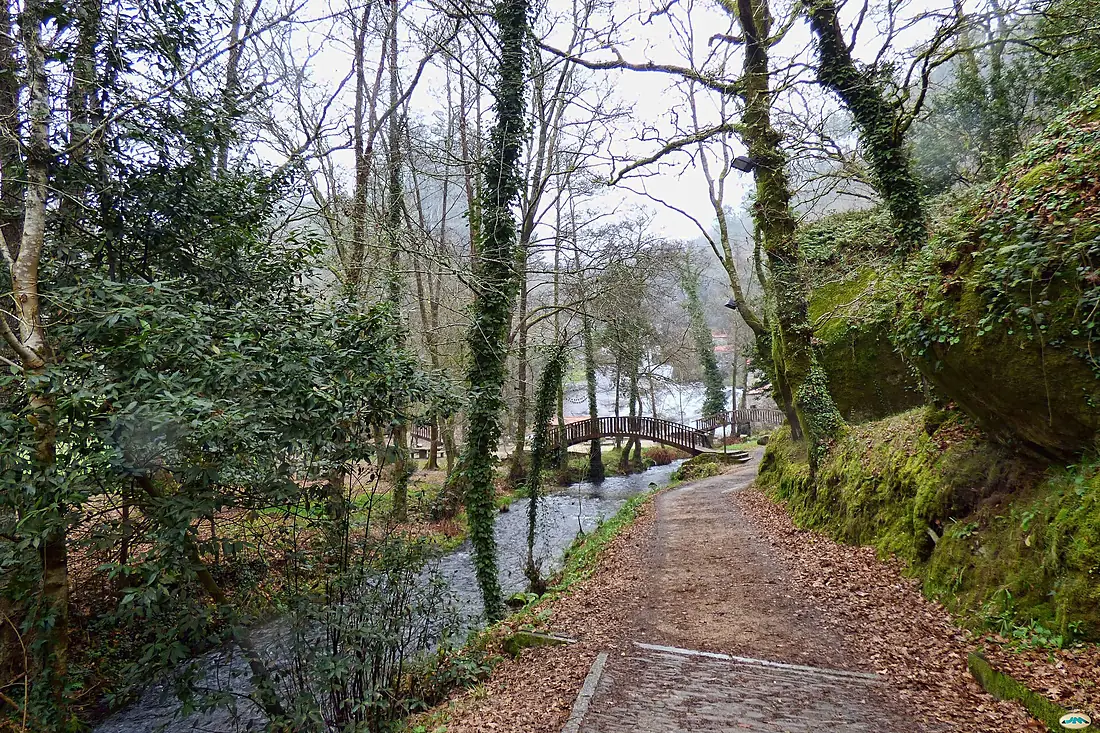Sendero del río Barosa (17410627274)