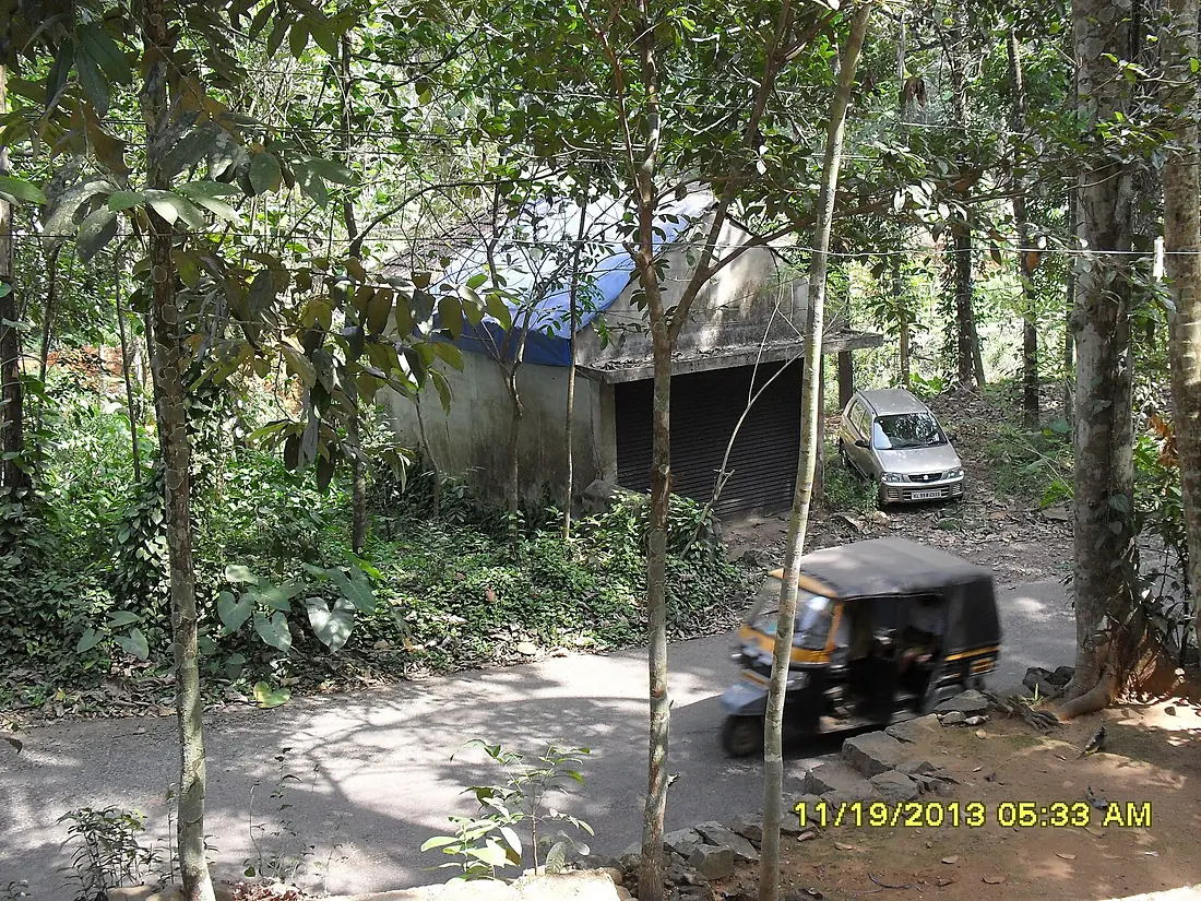 Pathampuzha