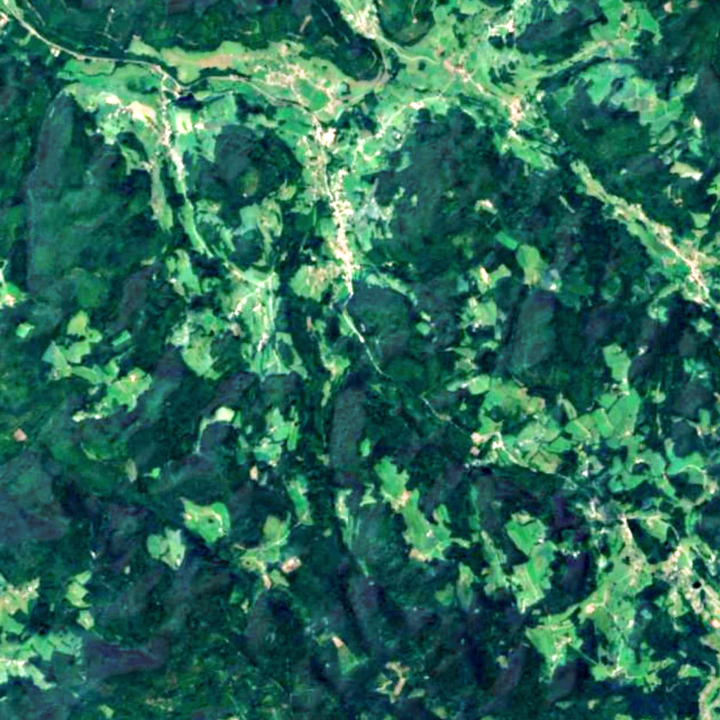 Petite cascade de Tendon seen from above (Sentinel-2)