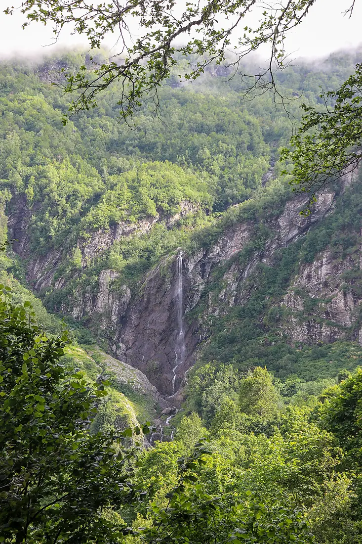 Polykarya waterfall 01
