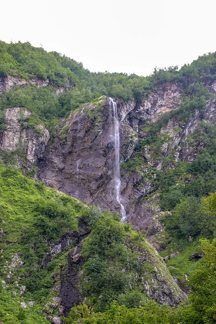 Polykarya waterfall 02