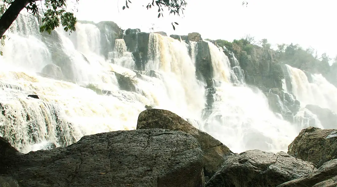ThacPongour