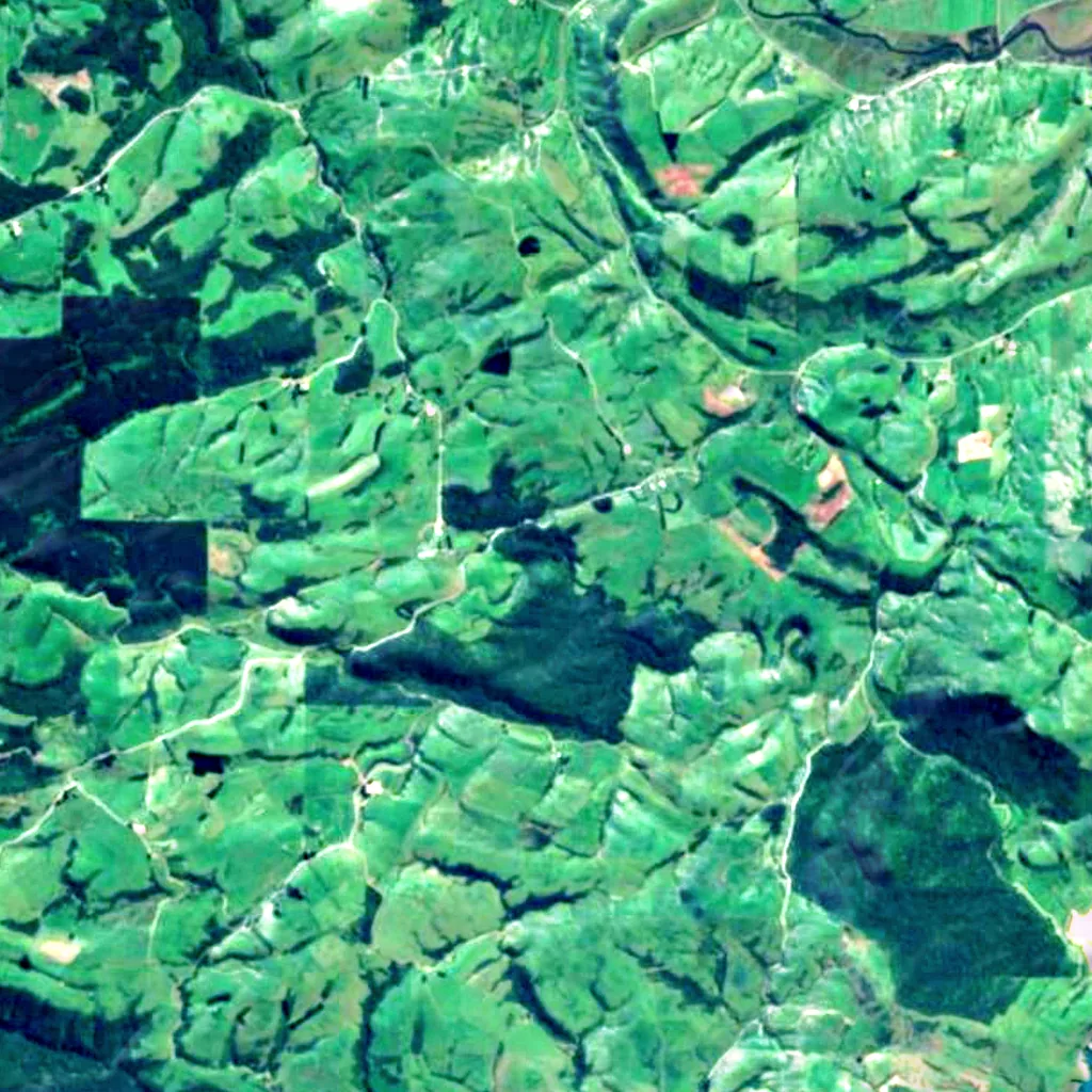 Purakaunui Falls seen from above (Sentinel-2)