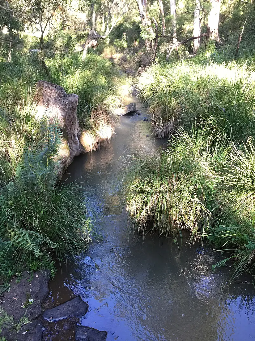 Condamine River