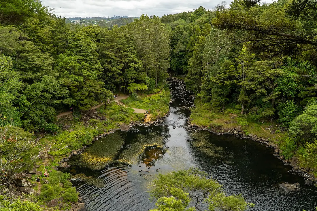 Kerikeri River from Rainbow Falls DSC01782-HDR