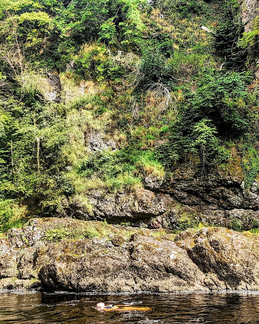 Reekie Linn