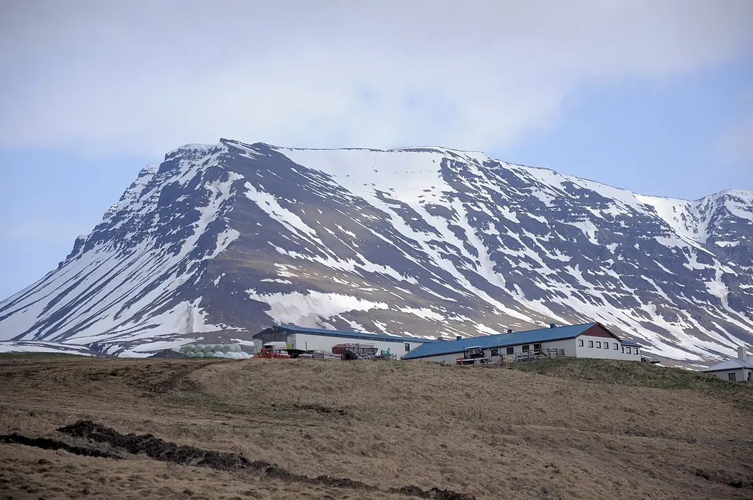 2014-04-29 16-12-32 Iceland - Varmahlíð Varmahlíð