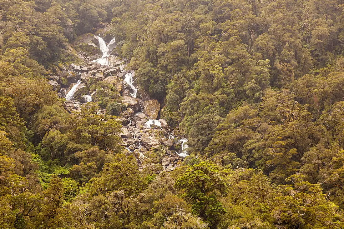 Roaring Billy Falls 03