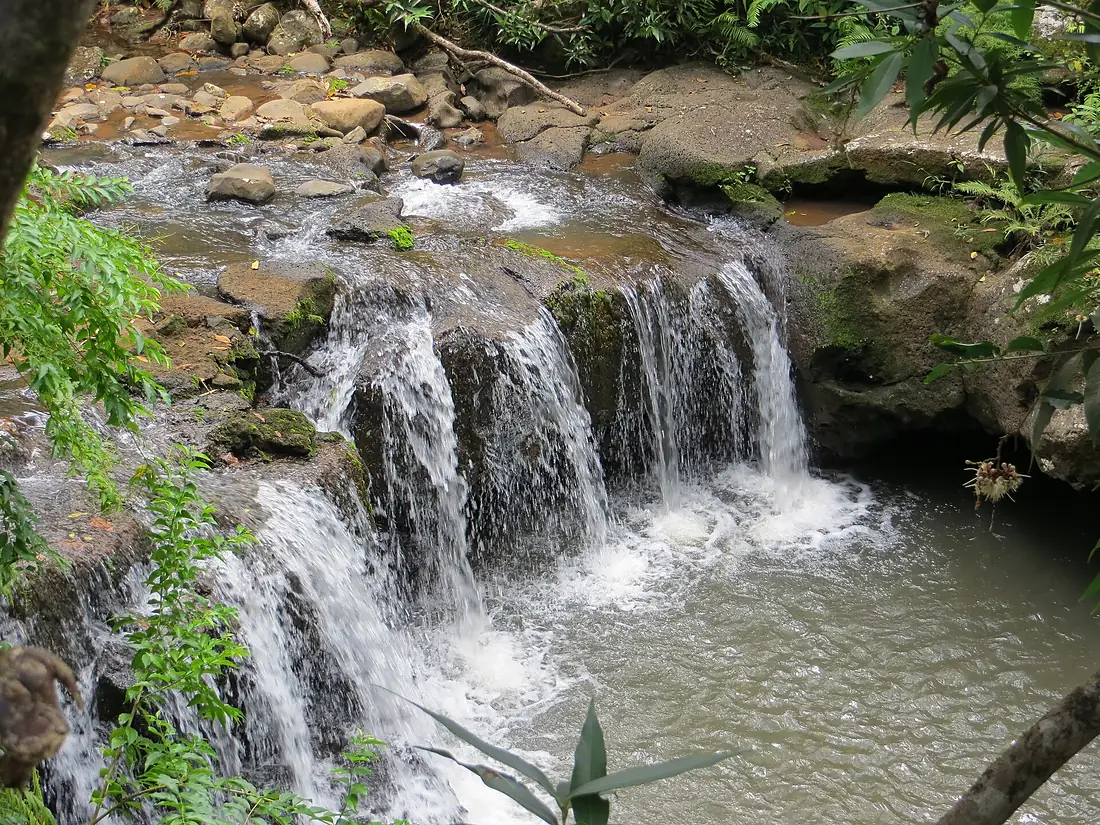 Rochester Falls
