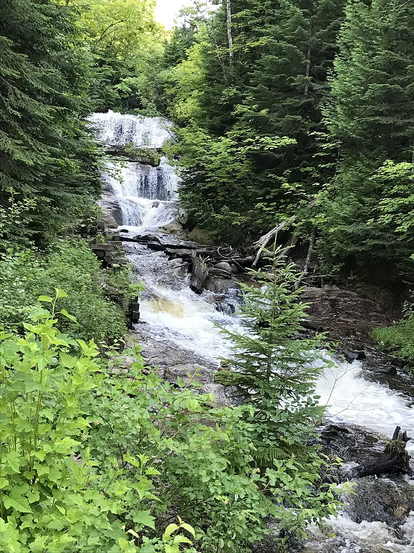 Sable Falls (14ece92c-2082-4140-a2d8-5ac56043a400)