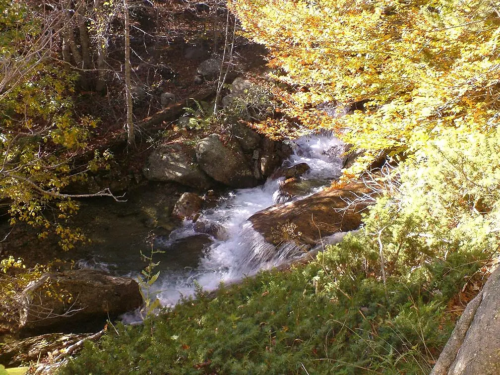 DSCF3630x - Barranc de Llubriqueto