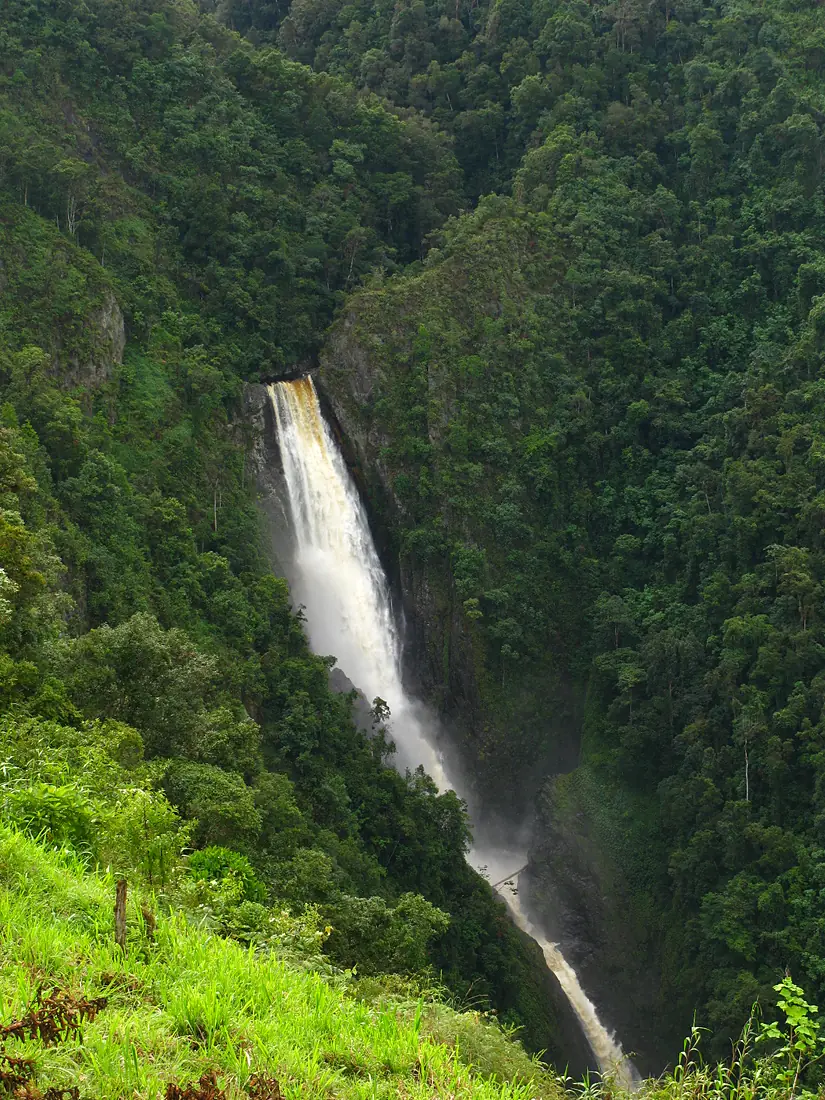 Salto bordones