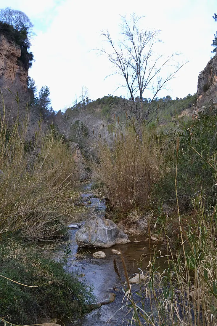 El Palància prop del salto de la Novia, Navaixes