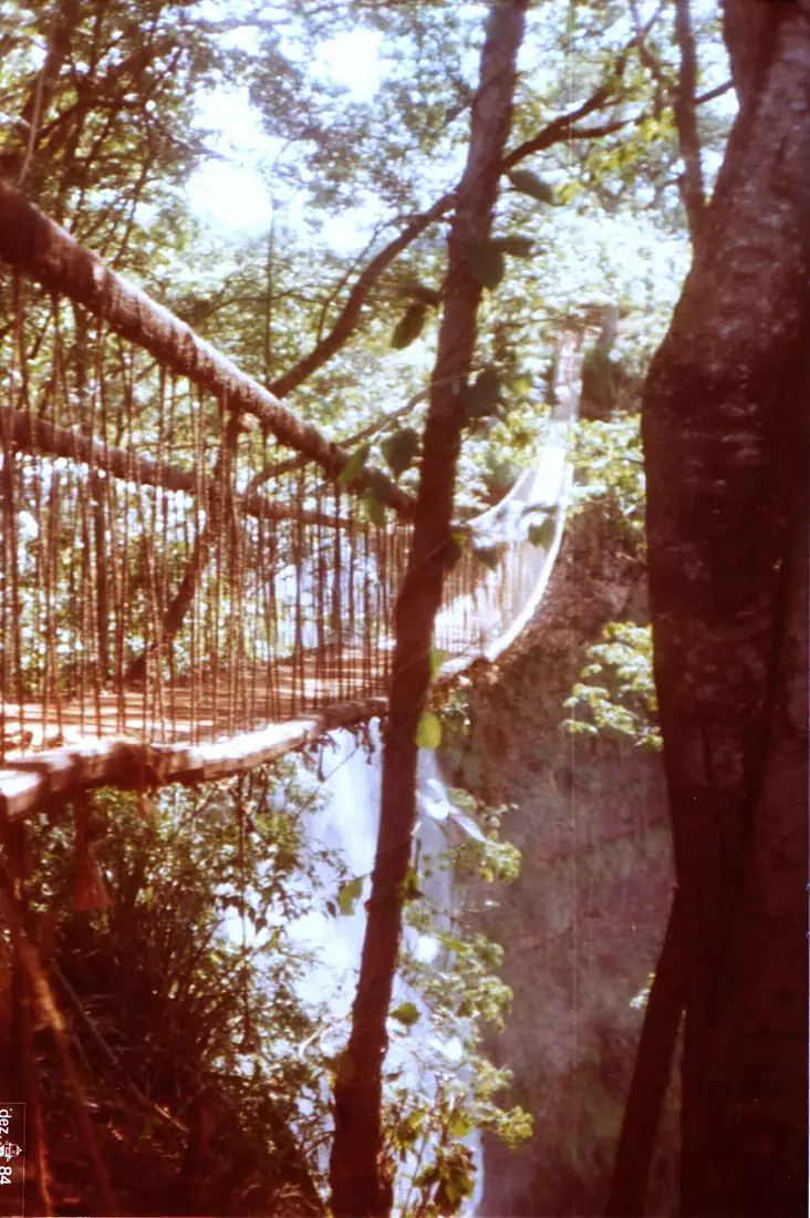 Pantano 01