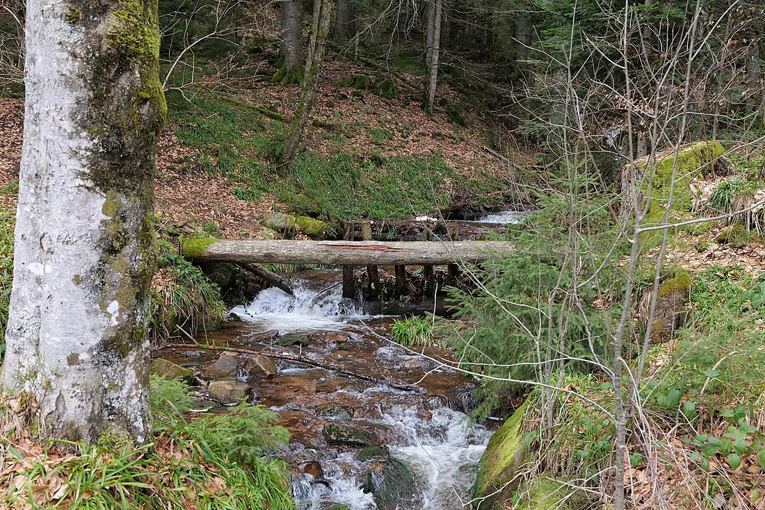Sankenbach Waterfalls 2020-03-12 01