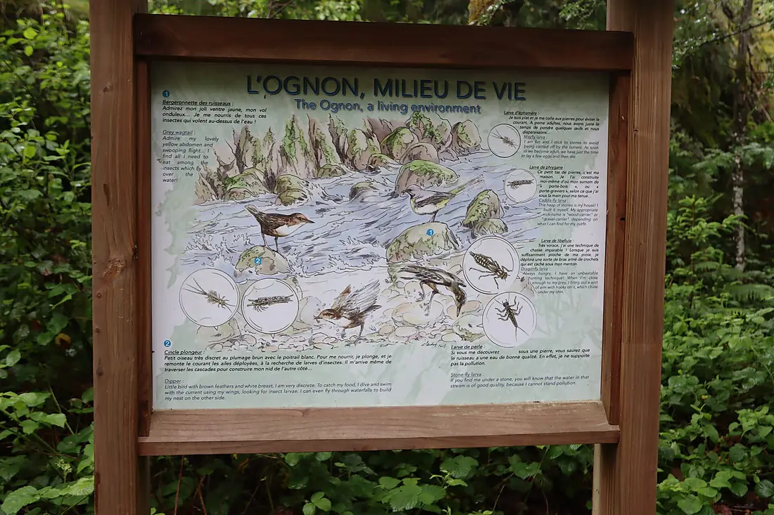 Saut de l'Ognon 02