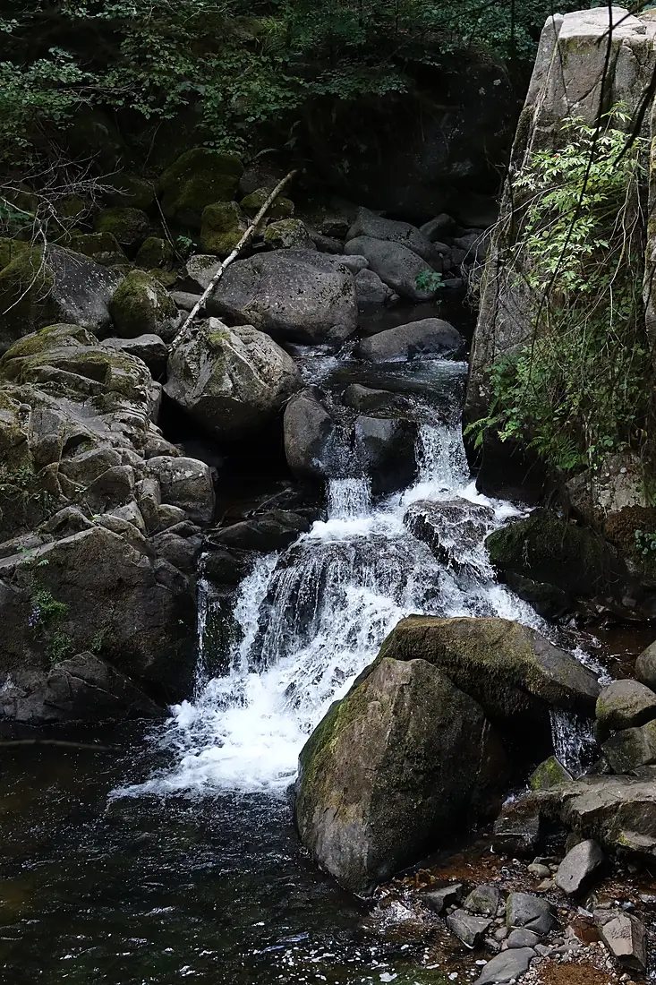 Saut des Cuves (Vosges) (5)