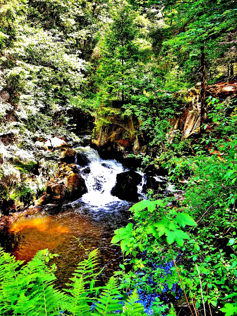 Le saut des Cuves