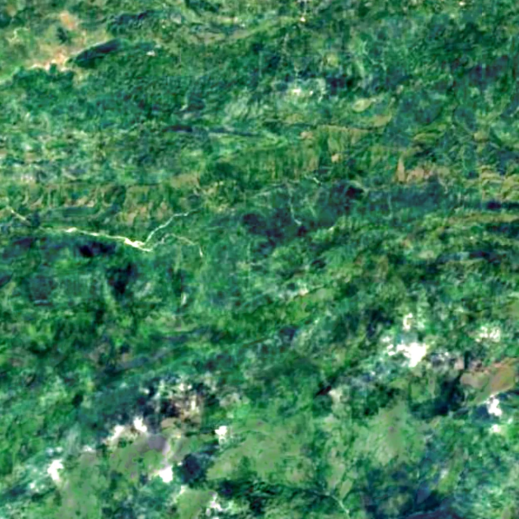 Saut-Mathurine seen from above (Sentinel-2)