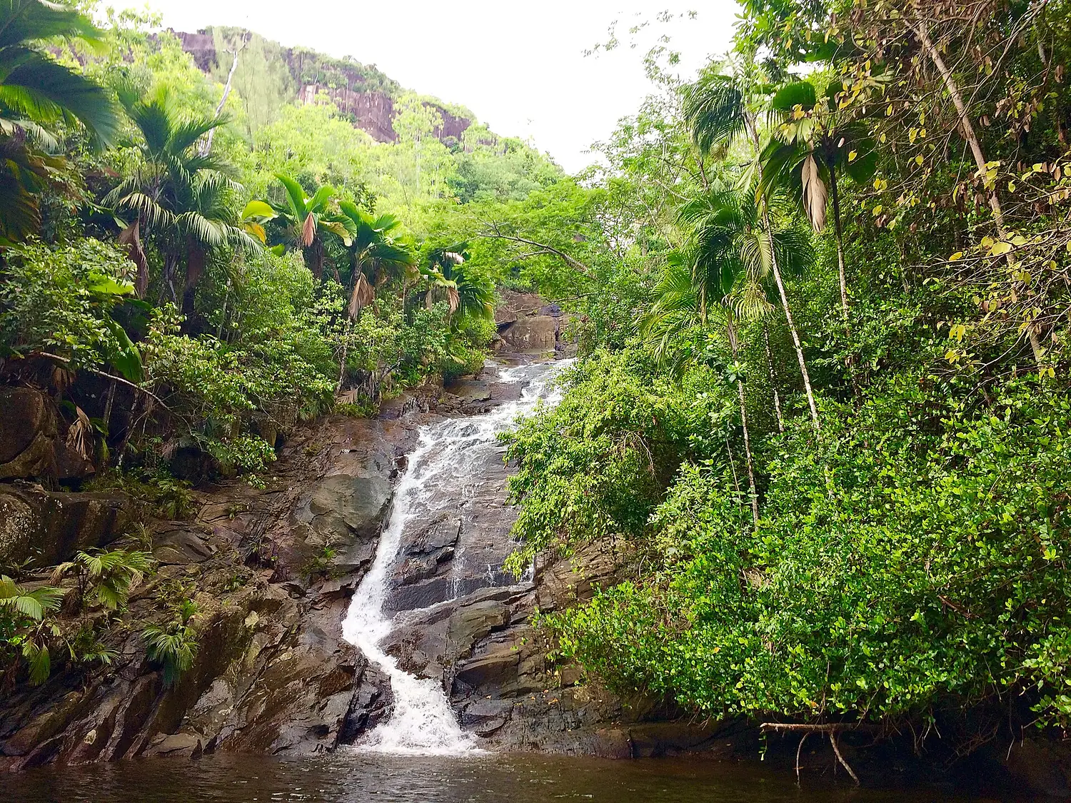 The Seychelles waterfall