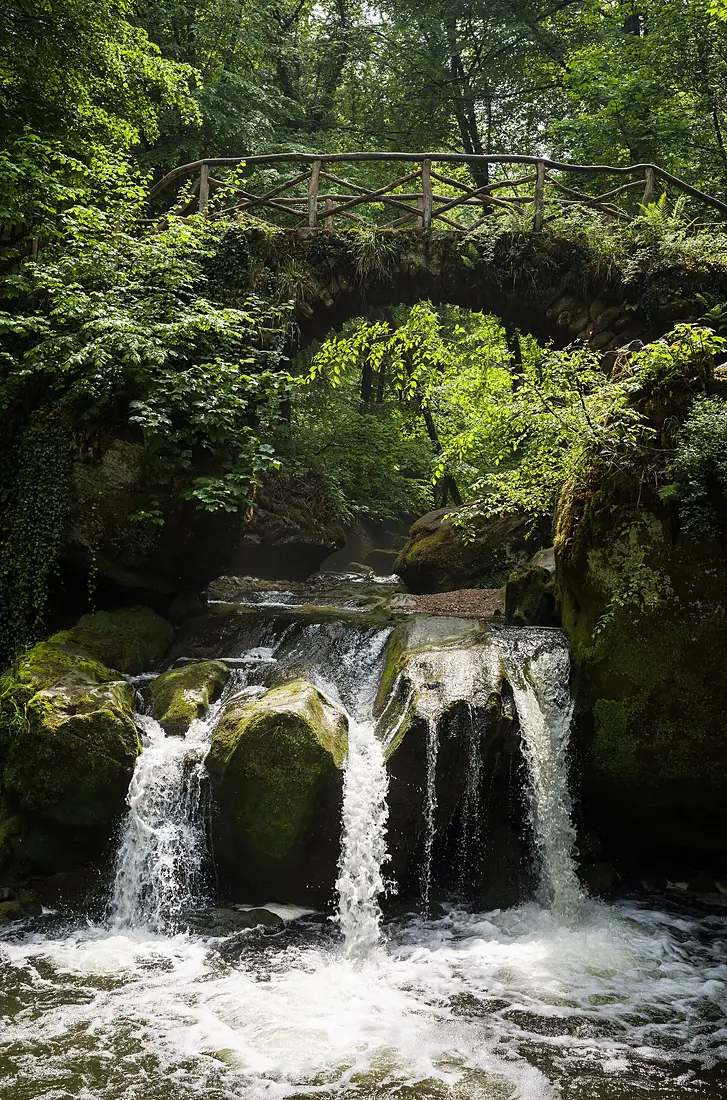 Along the Mullerthal Trail, Luxembourg1