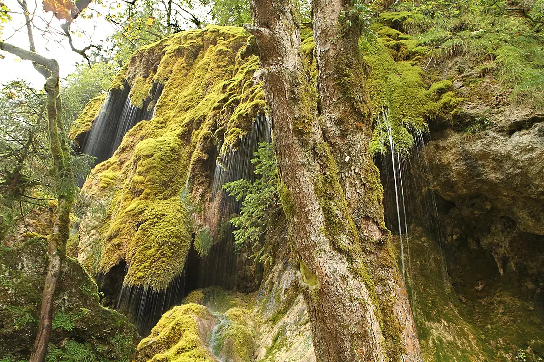 Naturschutz ammerschlucht