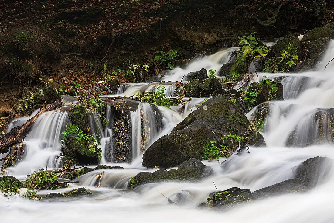 Selkefall (50790815661)