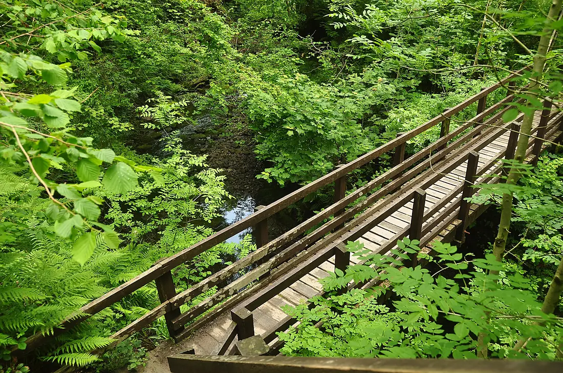 Footbridge below Henrhyd falls (9189)