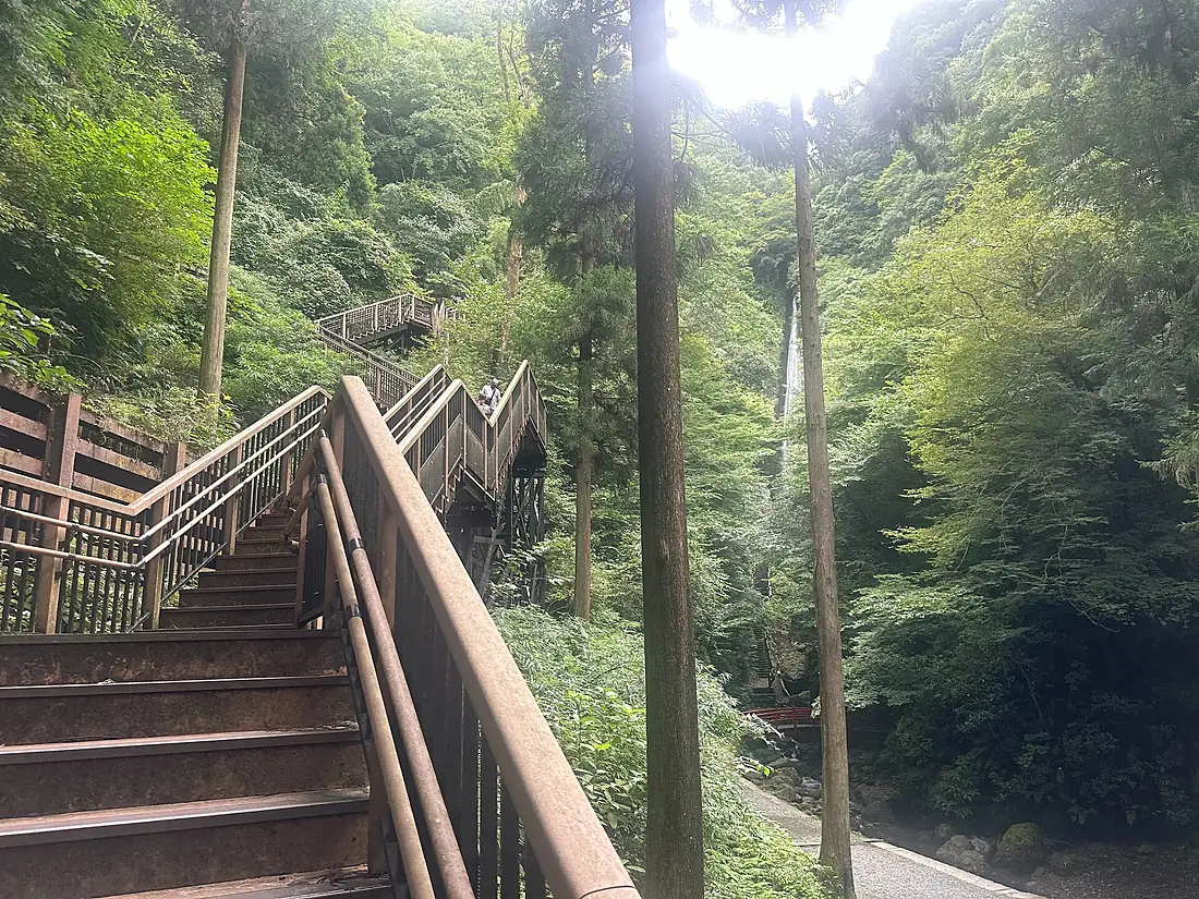 Shasui Falls - Kanagawa - 2024 Aug 23 various 14 21 17 445000