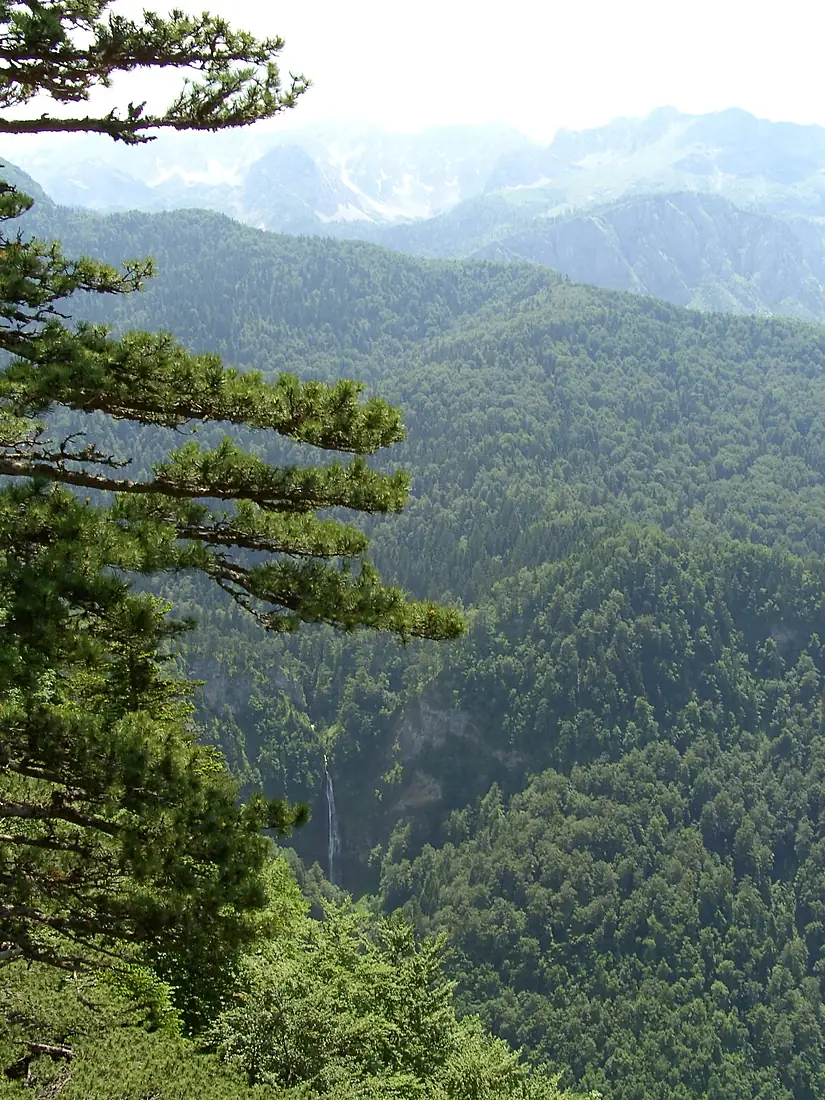 Prales Perucica s vodopadem Skakavac z Dragas sedla