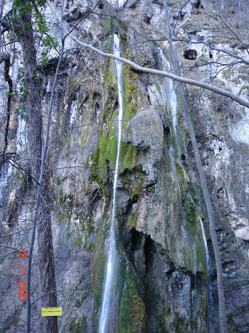 Slivovdolsko-padalo
