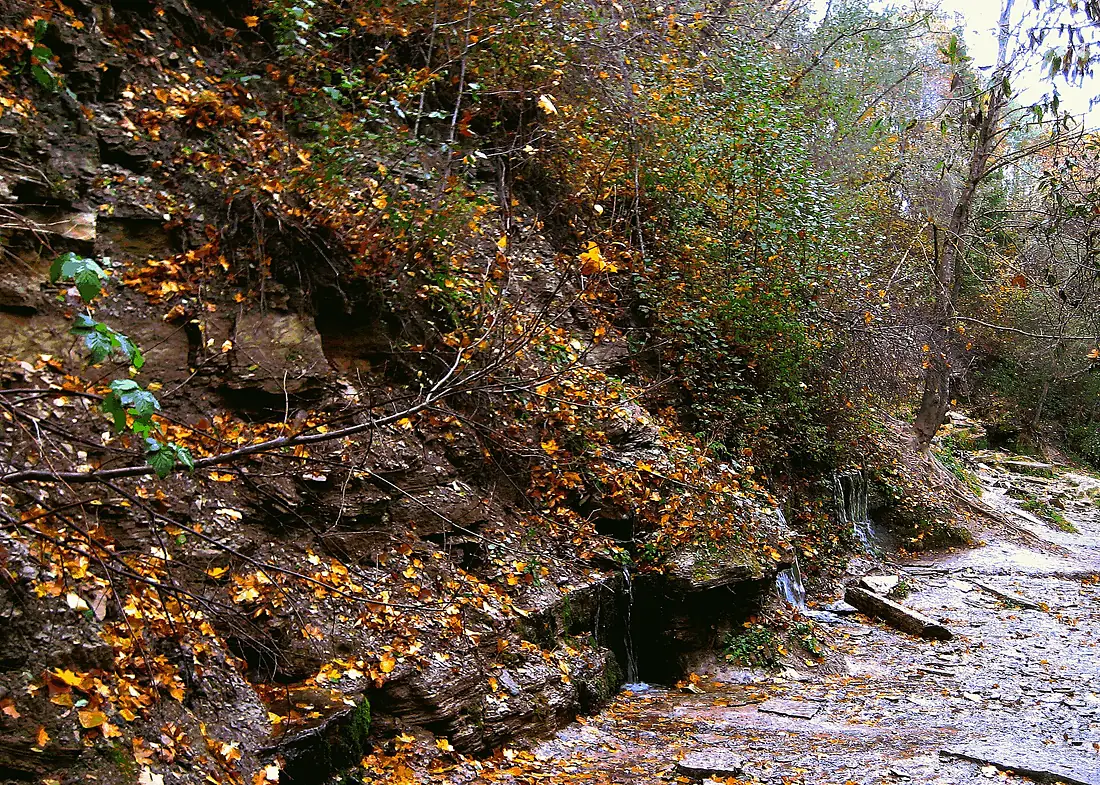 3220. Izborsk. Slavyansky springs