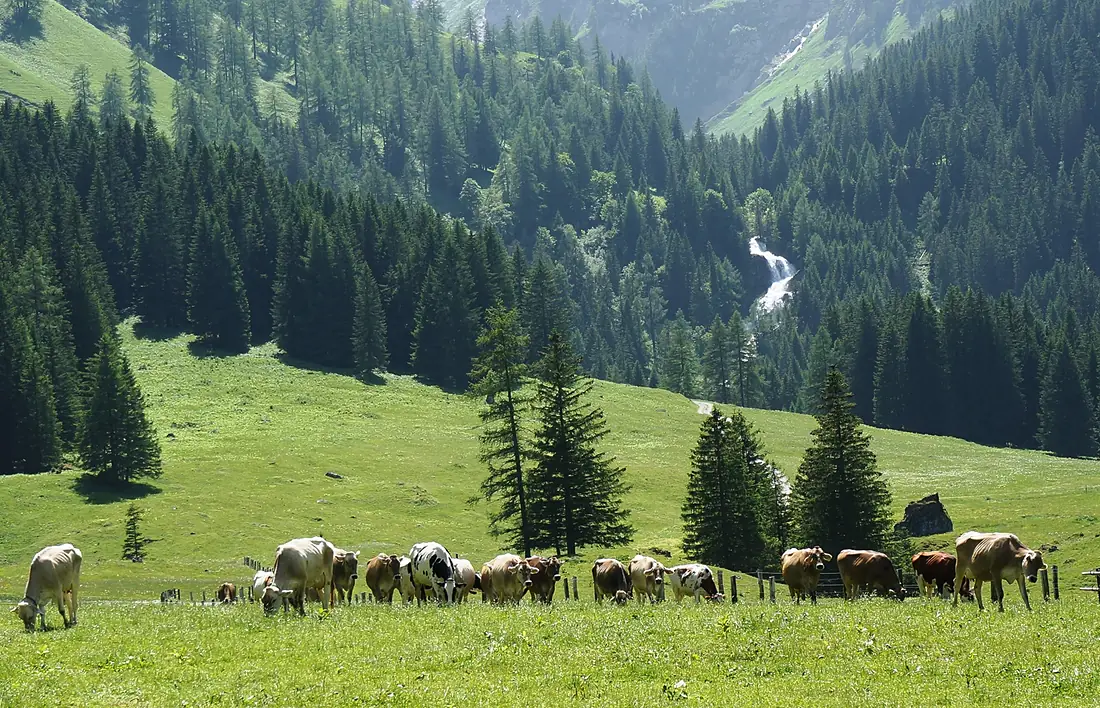 Stüberfall Naturdenkmal, Nenzinger Himmel (1367 m ü.M.), Bezirk Bludenz, Vorarlberg