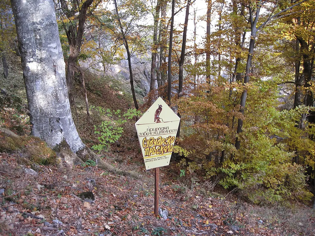 Suvcharsko praskalo
