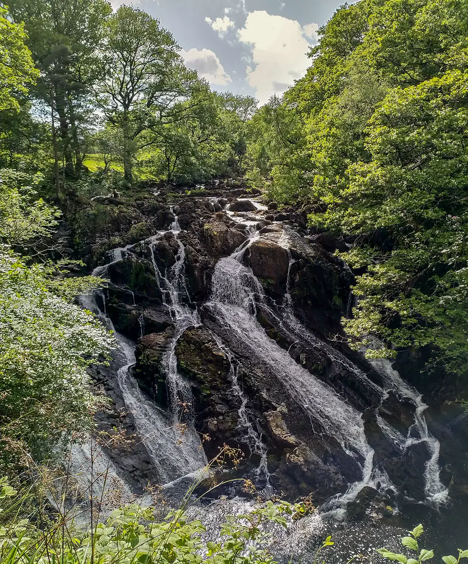Swallow Falls (48204130582)