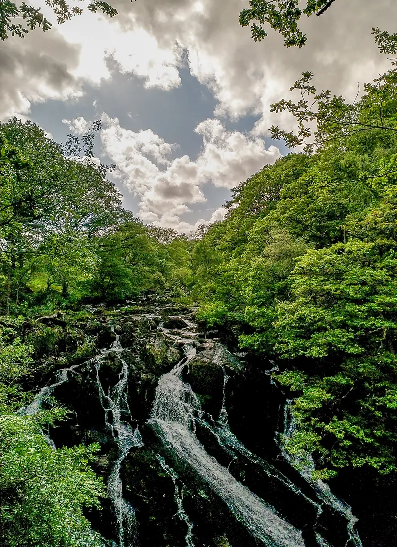 Swallow Falls (48204132592)
