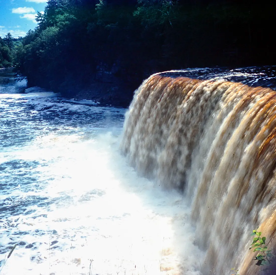 Tahquamenon Falls 00529
