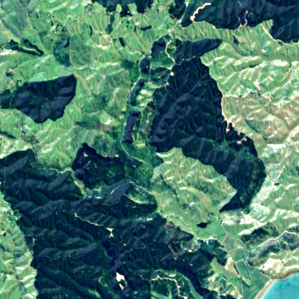 Tangoio Falls seen from above (Sentinel-2)